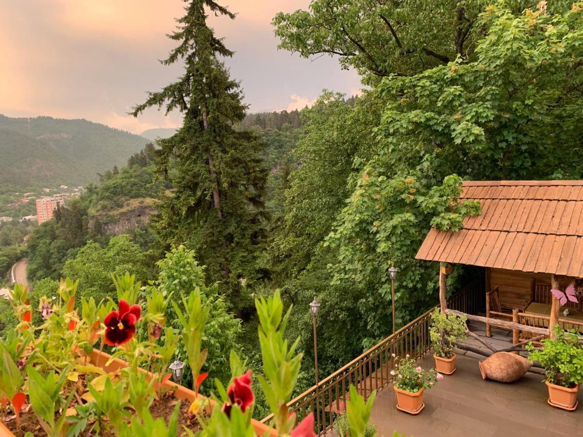 Anano'S Guesthouse Borjomi Exterior foto