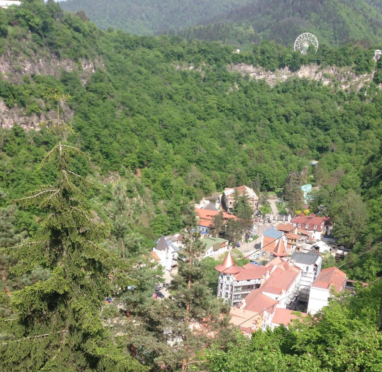 Anano'S Guesthouse Borjomi Exterior foto